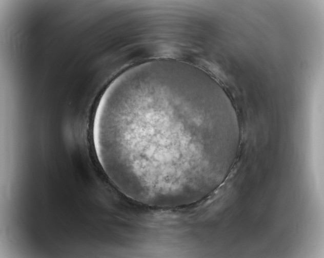 X0000088750146200706071727