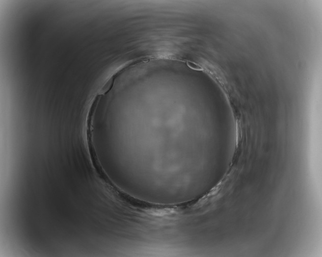 X0000088750147200706071727