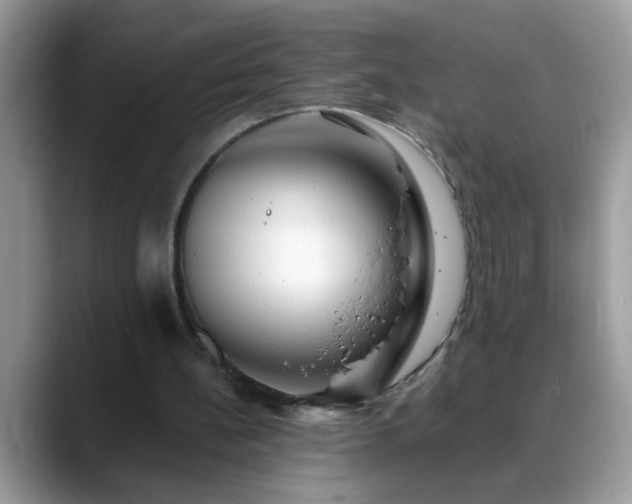 X0000088750148200706071727
