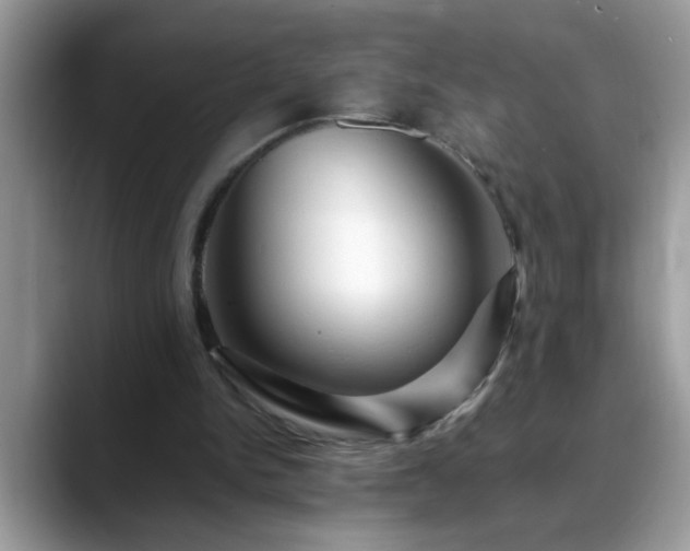 X0000088750150200706071727