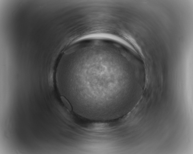 X0000088750154200706071727
