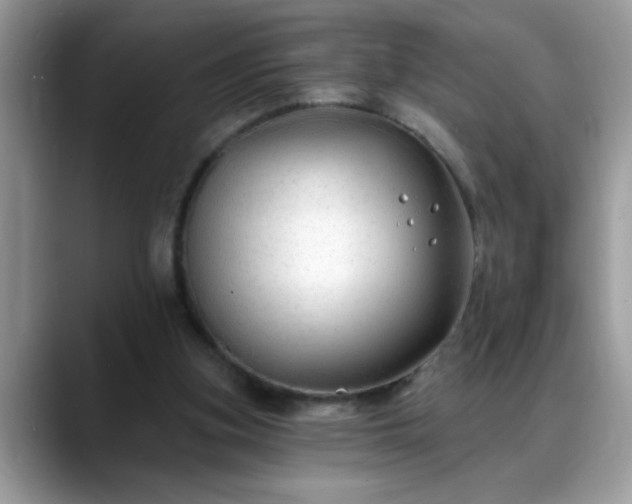 X0000088750155200706071727