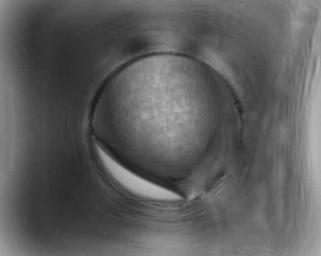 X0000088750156200706071727