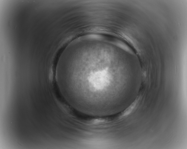 X0000088750158200706071727