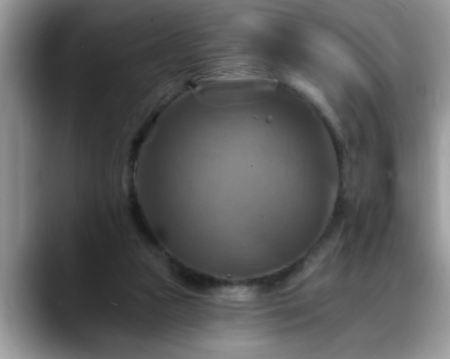 X0000088750161200706071727