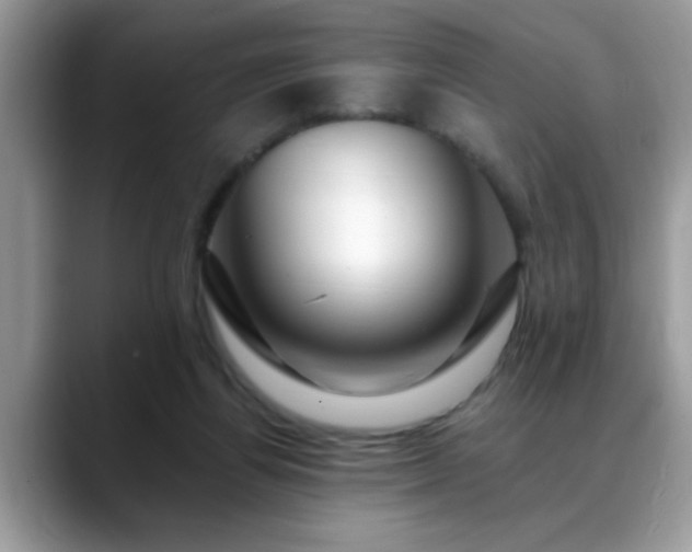 X0000088750164200706071727