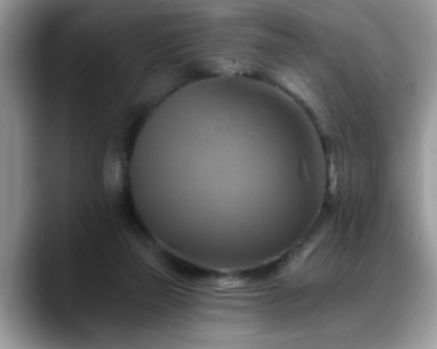 X0000088750165200706071727