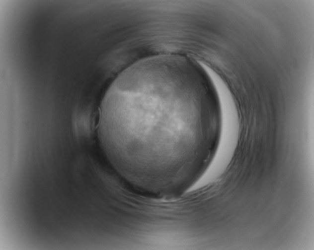 X0000088750168200706071727