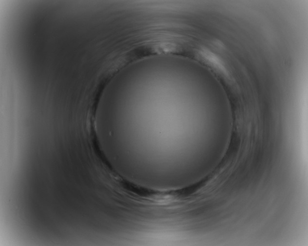 X0000088750169200706071727