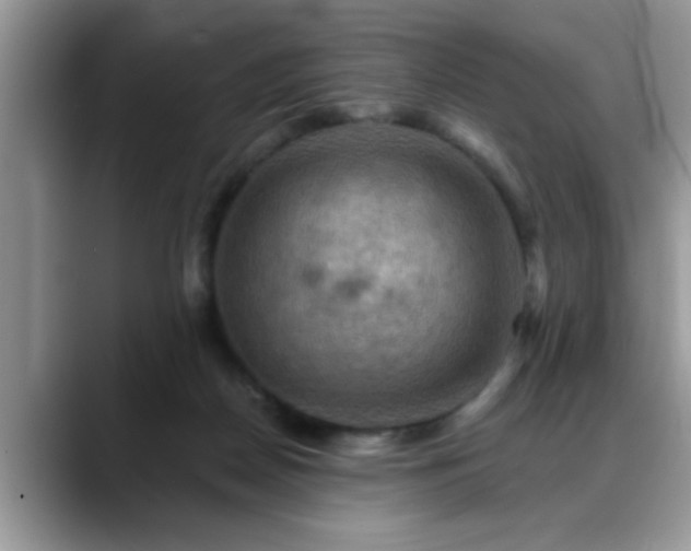 X0000088750170200706071727