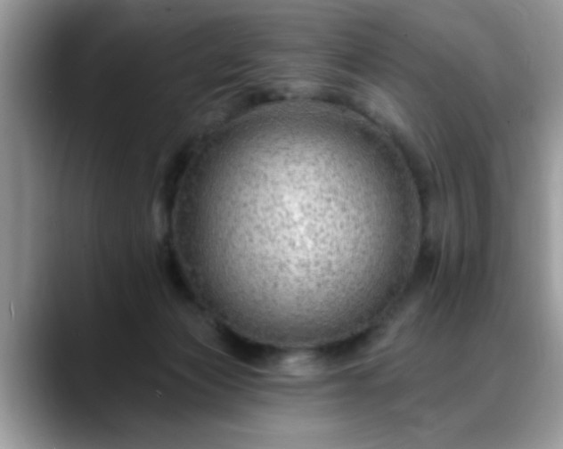 X0000088750173200706071727
