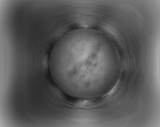 X0000088750174200706071727