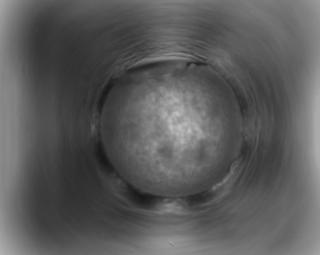 X0000088750175200706071727