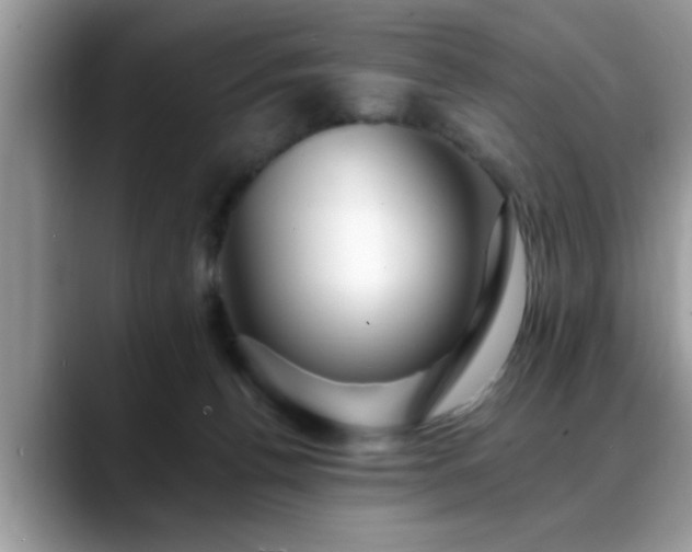 X0000088750176200706071727