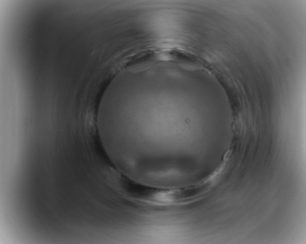 X0000088750178200706071727