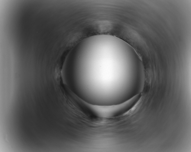 X0000088750184200706071727