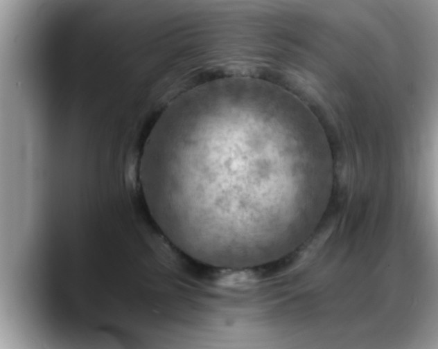X0000088750185200706071728