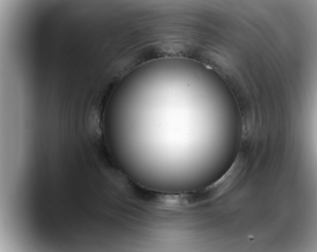X0000088750187200706071728