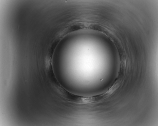 X0000088750188200706071728