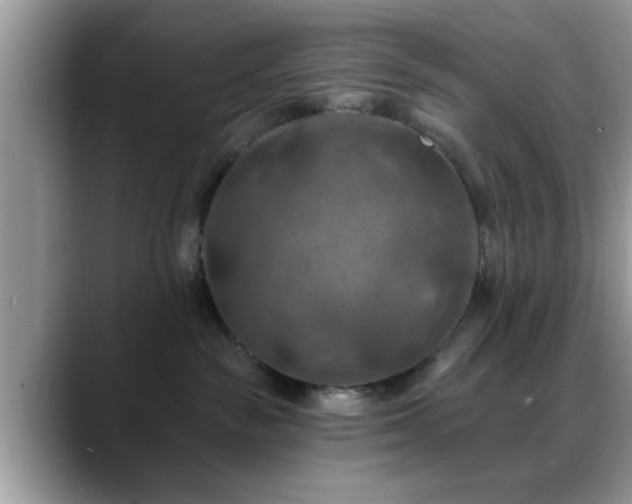 X0000088750189200706071728