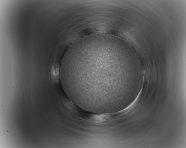 X0000088750190200706071728
