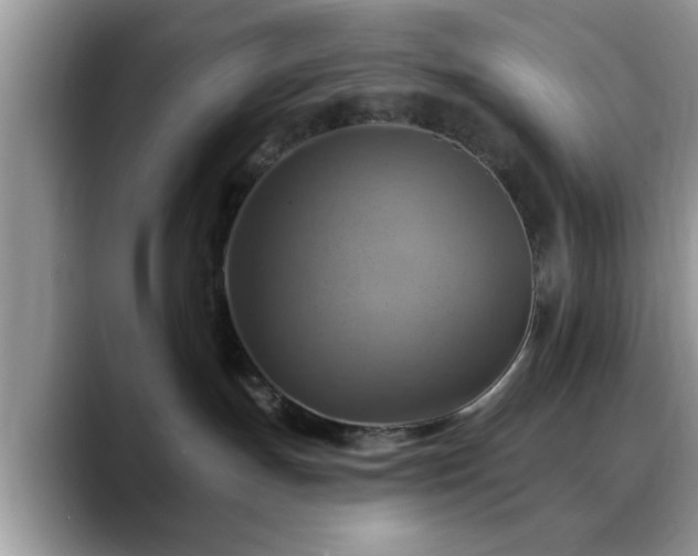 X0000088750191200706071728