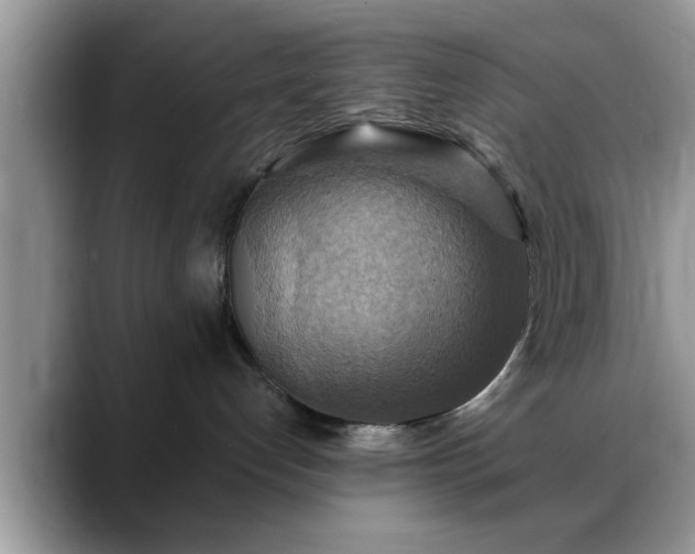 X0000088750192200706071728
