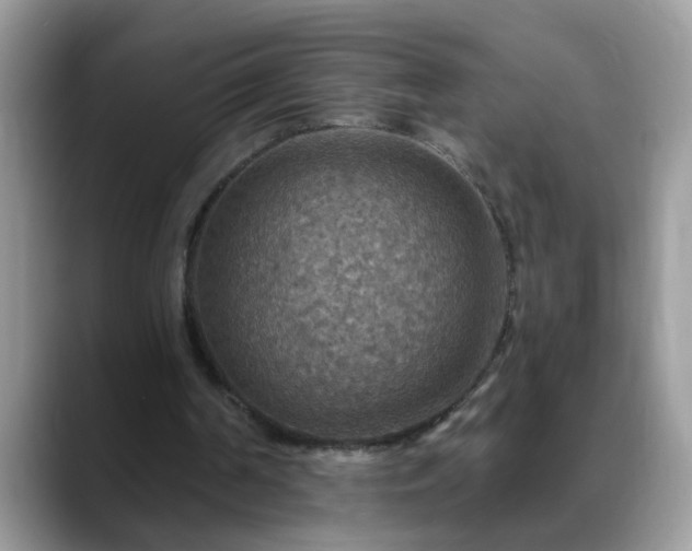 X0000088750194200706071727