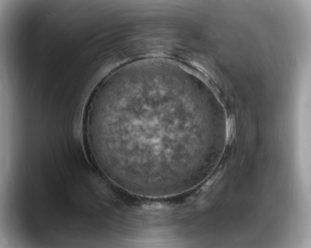 X0000088750195200706071727