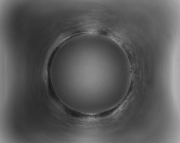 X0000088750198200706071727