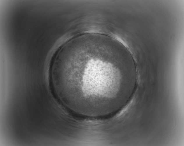 X0000088750199200706071727