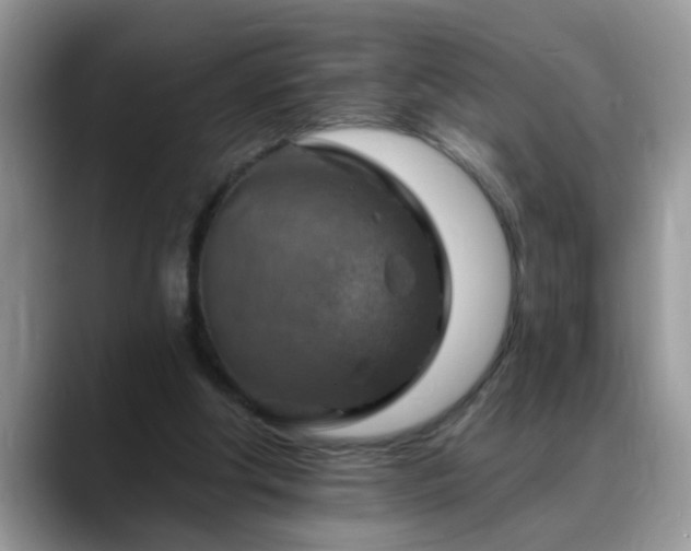 X0000088750202200706071727