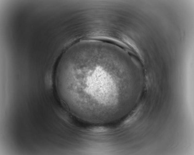 X0000088750203200706071727