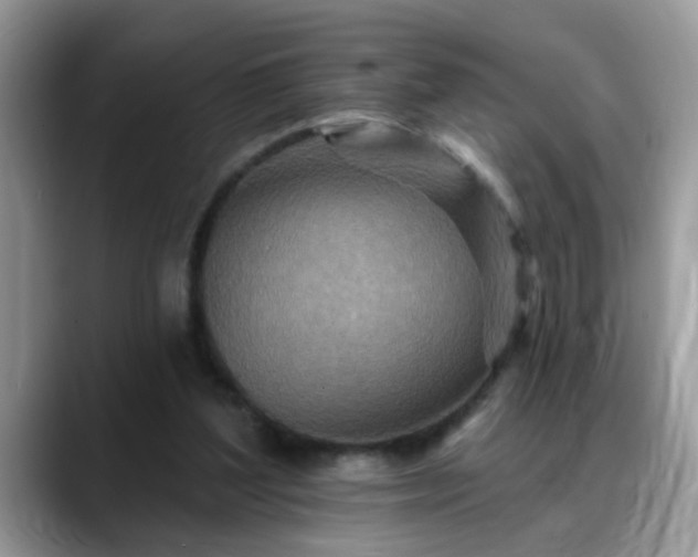 X0000088750204200706071727