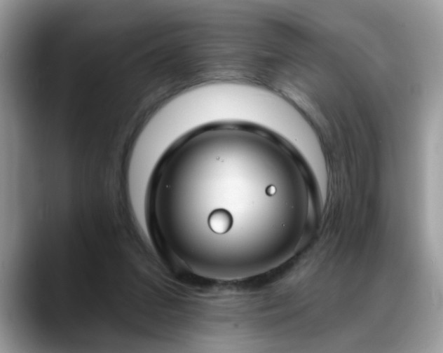 X0000088750207200706071727