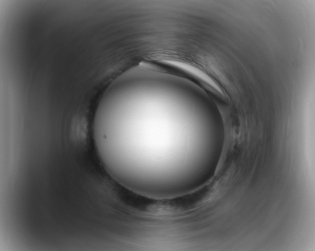 X0000088750211200706071727