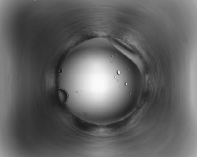 X0000088750212200706071727