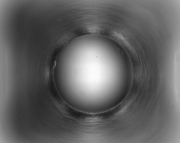 X0000088750213200706071727