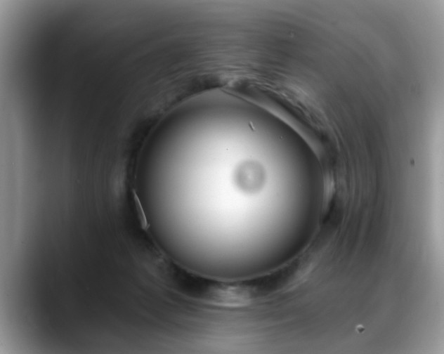 X0000088750221200706071727