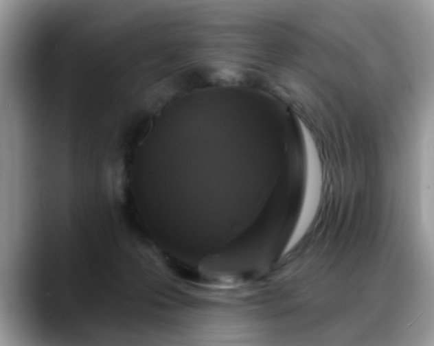 X0000088750223200706071727