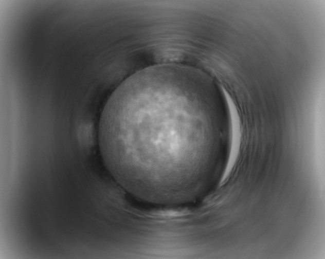 X0000088750224200706071727
