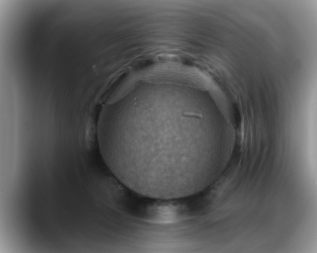 X0000088750228200706071727