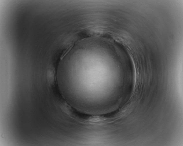 X0000088750231200706071726