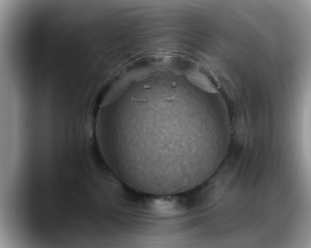 X0000088750232200706071726