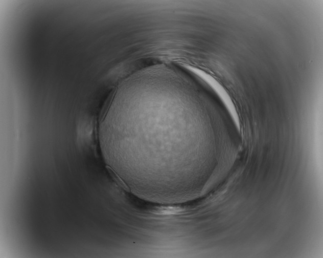 X0000088750233200706071726