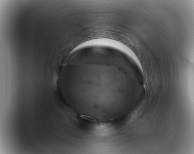 X0000088750235200706071726