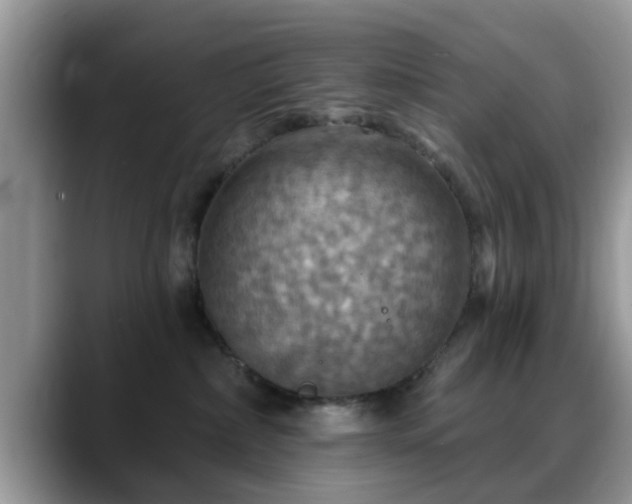 X0000088750236200706071726