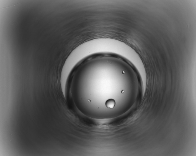 X0000088750237200706071726