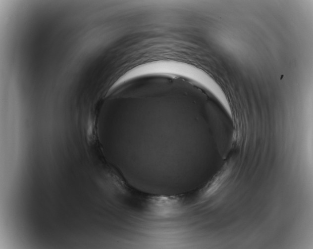 X0000088750239200706071726