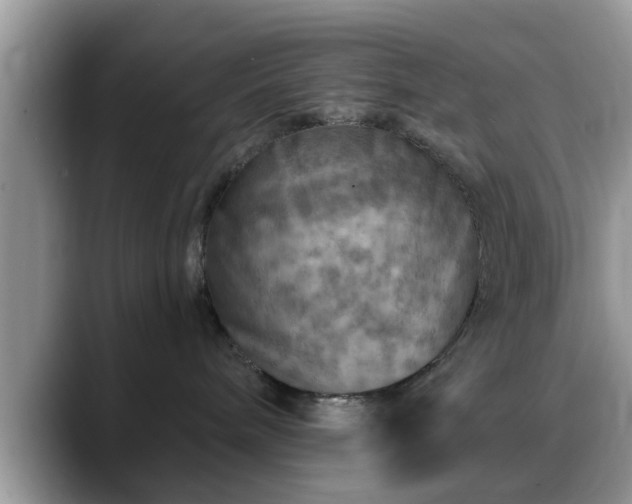 X0000088750240200706071726